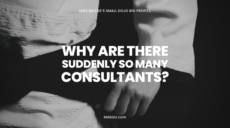 Why are there so many martial arts business consultants